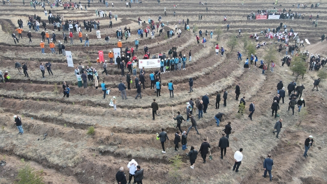 Çorum'da binlerce fidan toprakla buluşturuldu