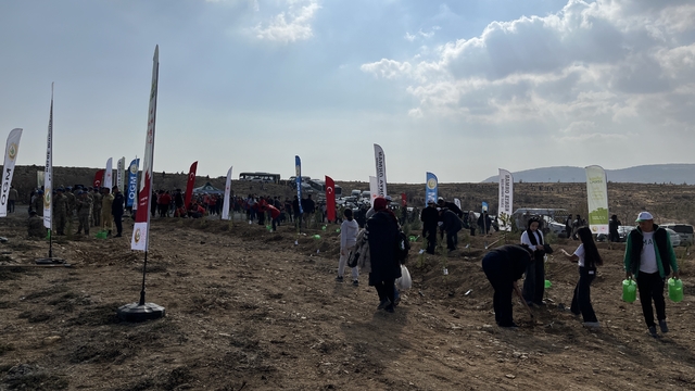 Konya'da 33 bin 811 fidan toprakla buluştu