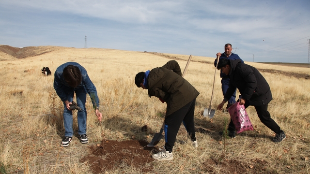 Ahlat'ta "Maziden Atiye" programı kapsamında öğrenciler fidan dikti