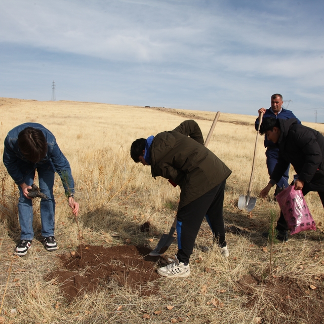 Ahlat'ta "Maziden Atiye" programı kapsamında öğrenciler fidan dikti