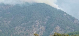 Hatay'da orman yangını