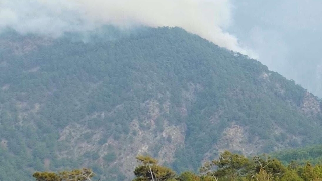 Hatay'da orman yangını
