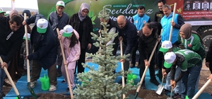 Orman şehidi Eyüp Dereli adına oluşturulan alana 15 bin fidan dikildi
Şehid...