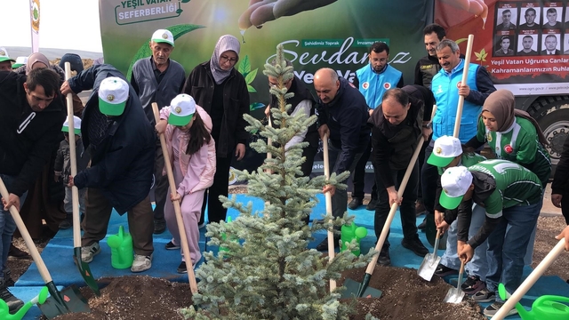 Orman şehidi Eyüp Dereli adına oluşturulan alana 15 bin fidan dikildi
Şehidin ikiz kardeşi ve çocuğu, hatıra ormanı oluşturulması hakkında konuştu