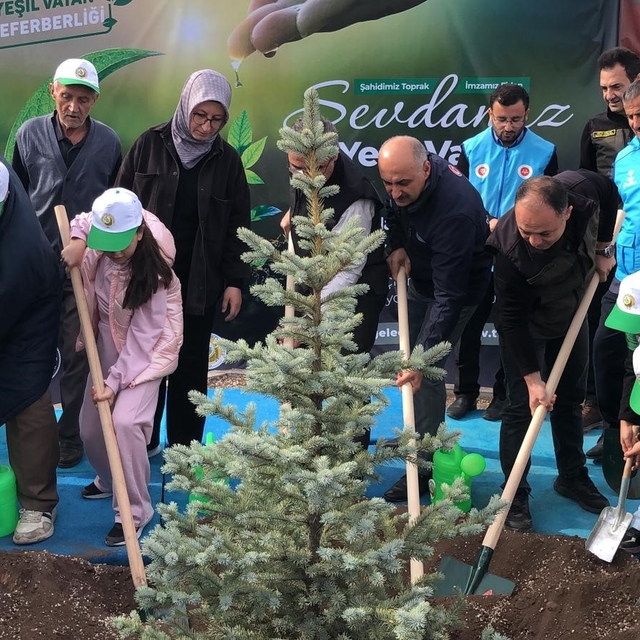 Orman şehidi Eyüp Dereli adına oluşturulan alana 15 bin fidan dikildi
Şehid...