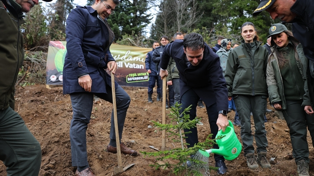 Giresun'da Milli Ağaçlandırma Günü etkinlikleri