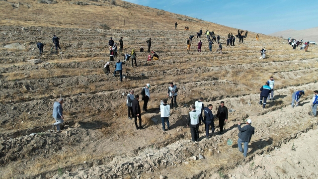 'Şahidimiz Toprak, İmzamız Fidan, Sevdamız Yeşil Vatan' Yahyalı'da hayat buldu