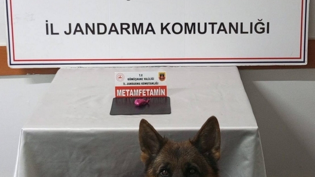 Gümüşhane'de uyuşturucu operasyonunda 2 şahıs yakalandı