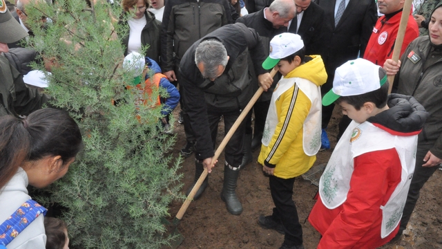 Keşan'da yangından zarar gören ormanlık alana 2 bin çam fidanı dikildi