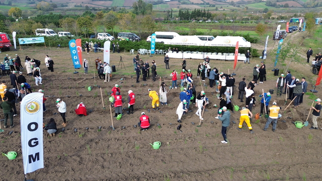 Bafra'da Milli Ağaçlandırma Günü etkinliği yapıldı