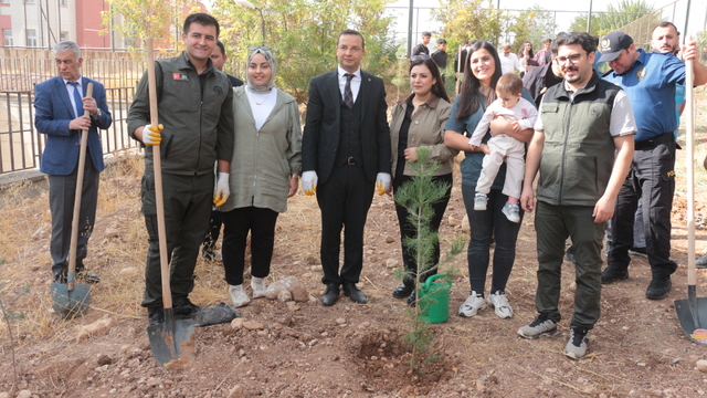 Cizre'de Milli Ağaçlandırma Günü kapsamında fidan dikildi