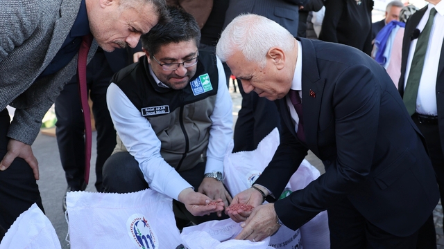 Bursalı çiftçinin yüzü gülüyor
Tarım Ortak İşbirliği Protokolü kapsamında elde edilen yerli buğday tohumu, Mustafakemalpaşalı üreticilere yüzde 100 hibeyle dağıtıldı