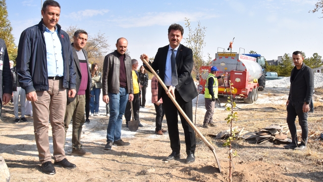 SÜ'de Milli Ağaçlandırma Günü'nde yüzlerce fidan dikildi