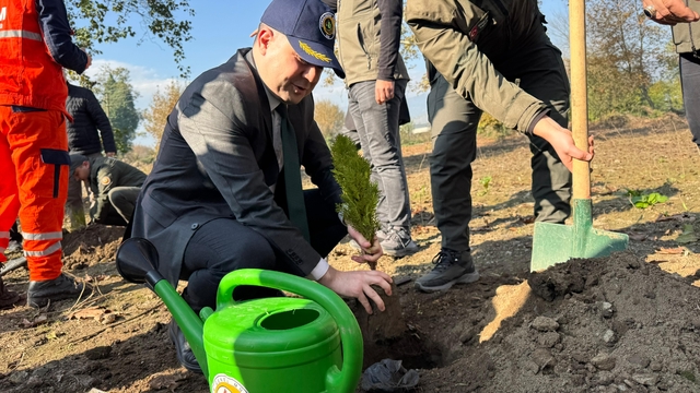 Düzce ve ilçelerinde fidanlar toprakla buluştu