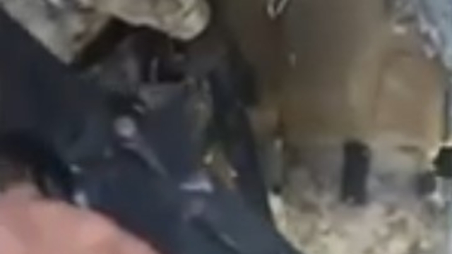 Bilişim dolandırıcılarına  eş zamanlı şafak operasyonu
16 ilde büyük siber vurgun darbesi: 18 tutuklama