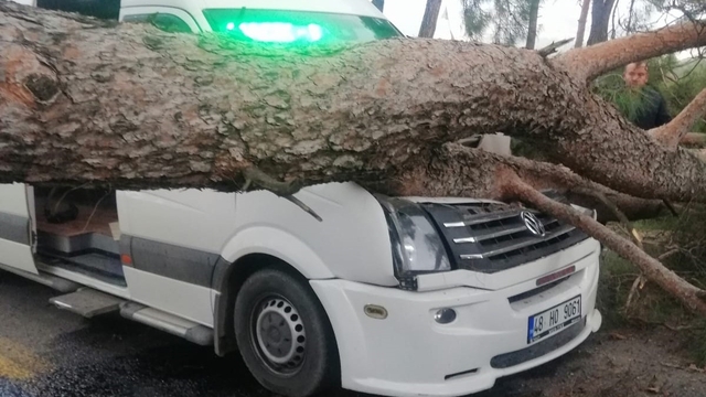 Seyir halindeki minibüsün üstüne ağaç devrildi