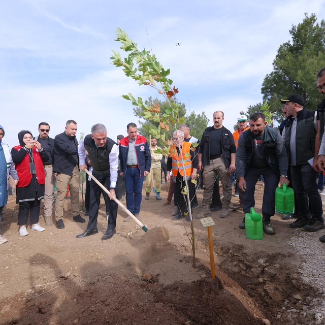 Mardin'de fidanlar toprakla buluşturuldu