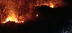 Hatay'da iki ayrı noktada yıldırım kaynaklı orman yangını kontrol altına al...
