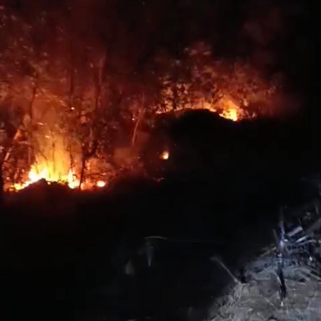 Hatay'da iki ayrı noktada yıldırım kaynaklı orman yangını kontrol altına al...