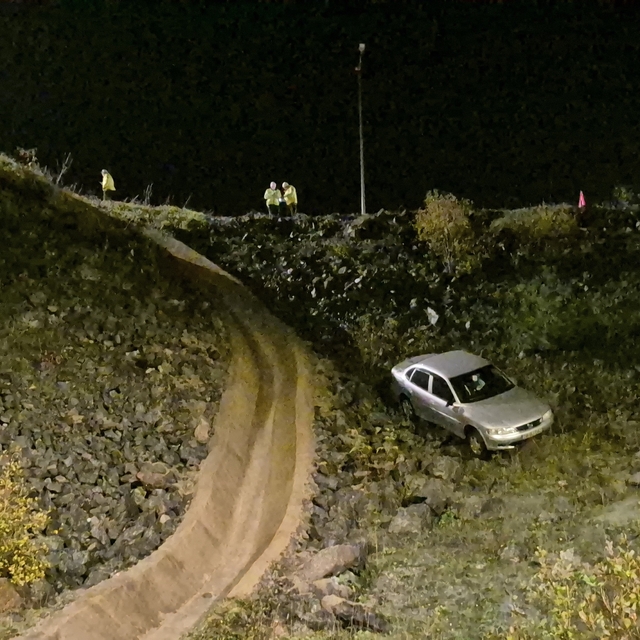 Otomobil viyadükten uçtu: 1 yaralı