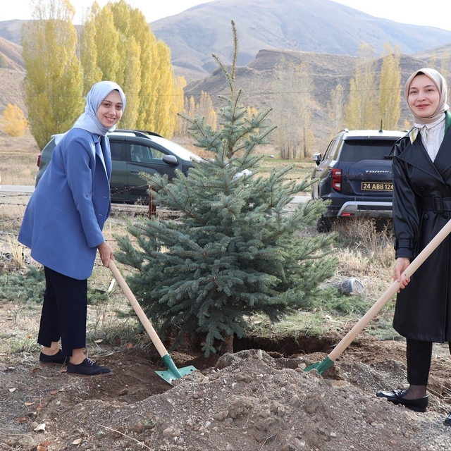 Tercan'da fidanlar toprakla buluştu