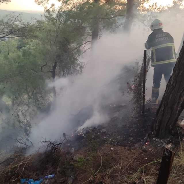 Dörtyol'da ormanlık yangını
