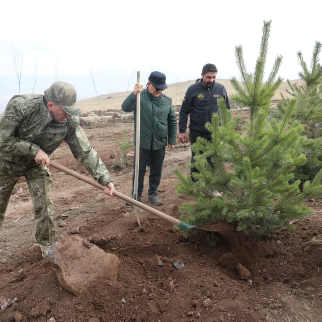 Şehit arkadaşlarının hatırasına 2 bin 400 rakımlı tepeye ağaç diktiler