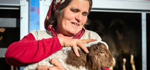 Mersin'de yem ve küçükbaş desteği üreticiyi güçlendiriyor