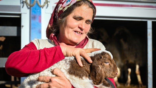 Mersin'de yem ve küçükbaş desteği üreticiyi güçlendiriyor