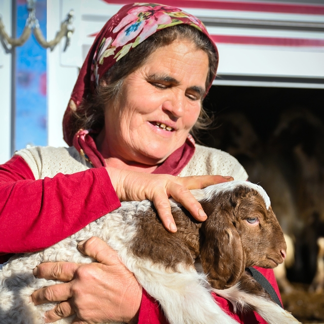 Mersin'de yem ve küçükbaş desteği üreticiyi güçlendiriyor