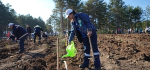 KARDEMİR'den fidan dikimi seferberliğine destek