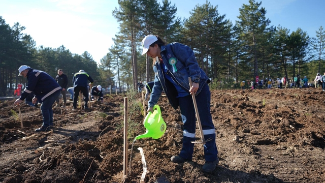 KARDEMİR'den fidan dikimi seferberliğine destek