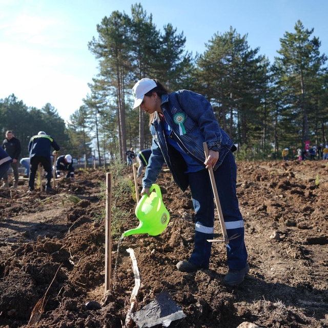 KARDEMİR'den fidan dikimi seferberliğine destek