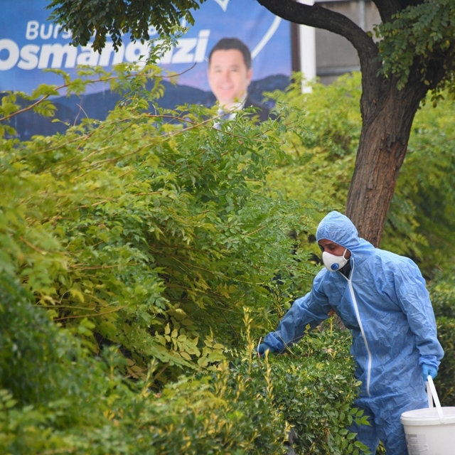 Osmangazi'de kemirgenlere karşı ilaçlama çalışması başlatıldı