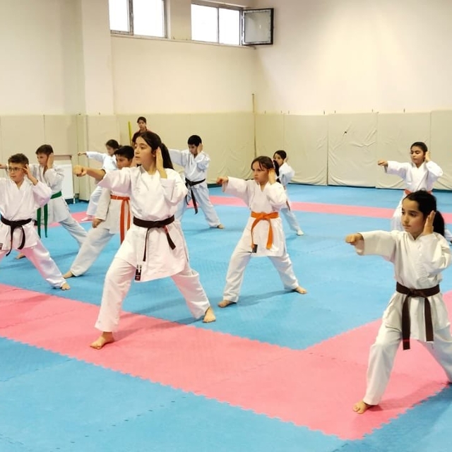 Karate Kış Okulu 3. Grup çalışmaları sürüyor