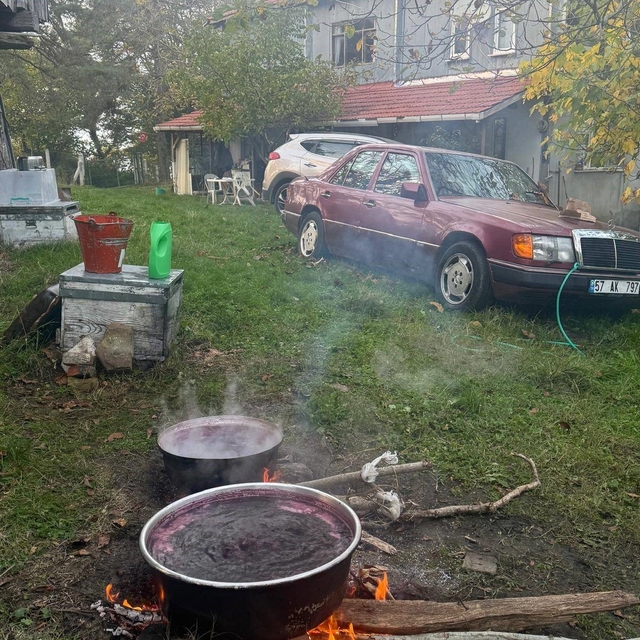 Sinop köylerinde kazanlar kaynıyor: Kışlık pekmez mesaisi