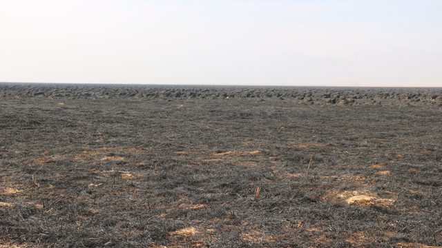 Nehil Sazlığı'ndaki yangın söndürüldü