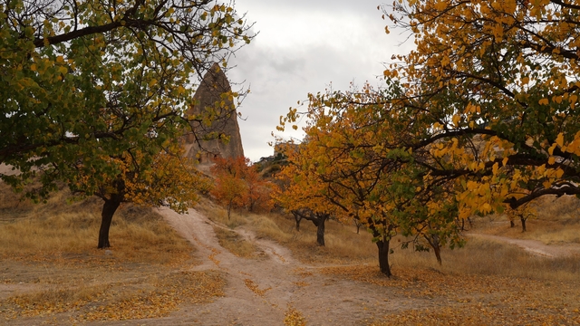 Kapadokya'da ki renk cümbüşü dron ile görüntülendi
Sonbahar Kapadokya'ya renk kattı