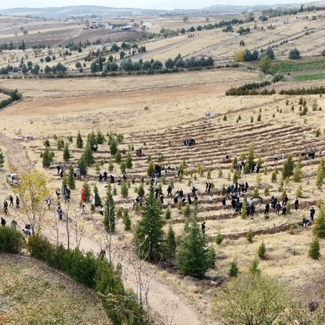 Elazığ'da Doğu Türkistan ve Filistin için fidan diktiler