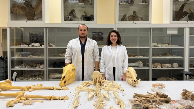 Türk antropologlar, Etiyopya'da ortak kazı çalışmaları yapacak