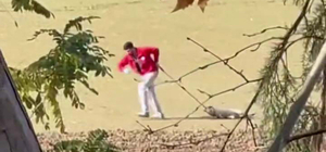 Sokak köpeğini iple sürükleyen belediye personeli adli kontrolle serbest