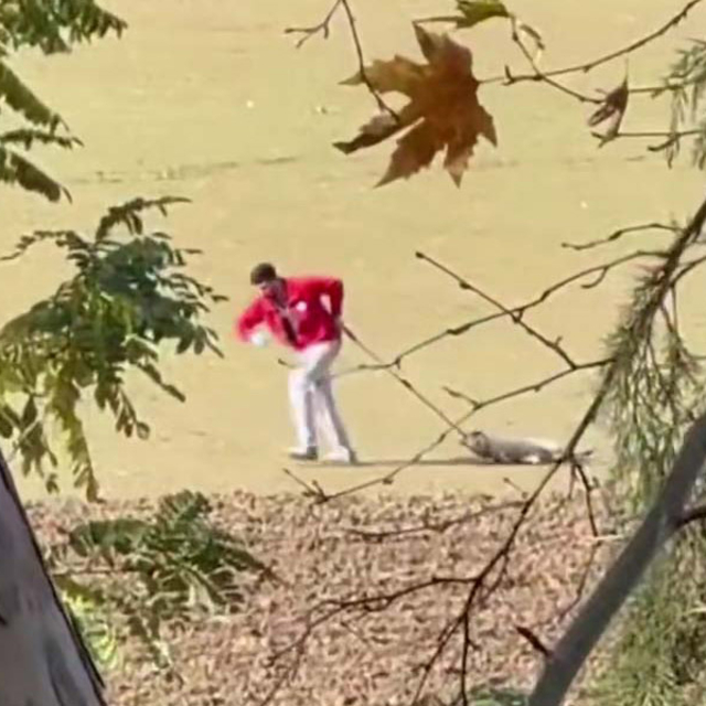 Sokak köpeğini iple sürükleyen belediye personeli adli kontrolle serbest