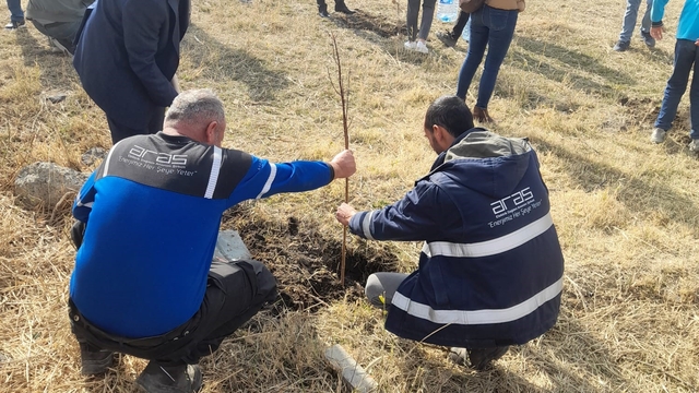 Aras EDAŞ, Milli Ağaçlandırma Günü'nde geleceğe nefes oldu