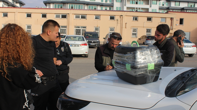 Nesli tehlike altındaki kara ayaklı gelinciği satmaya çalışırken yakalandı