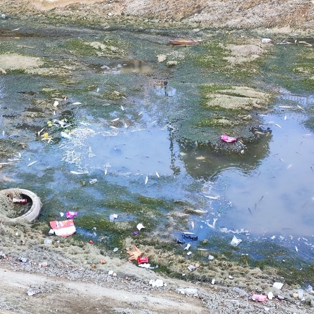 Sulama kanalındaki balıklar telef olmaya devam ediyor