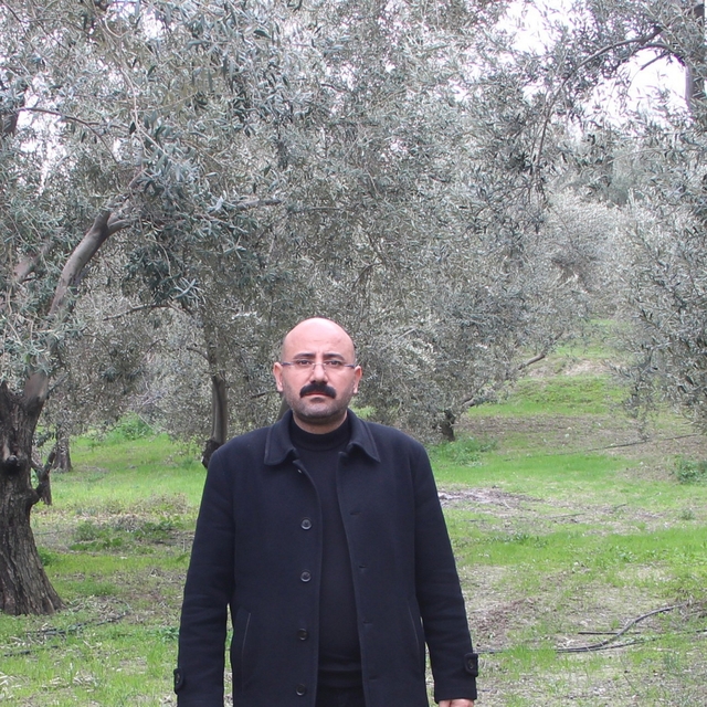 Mut'da bu yıl 120 bin ton zeytin rekoltesi bekleniyor
Mut Ziraat Odası Başk...