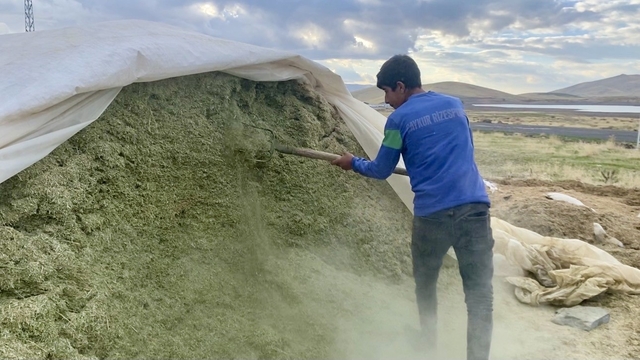 Ağrı'da besiciler kış hazırlıklarına başladı