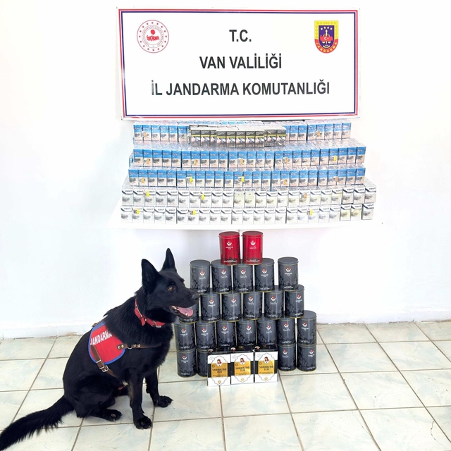 Van'da gümrük kaçağı sigara ve çay ele geçirildi