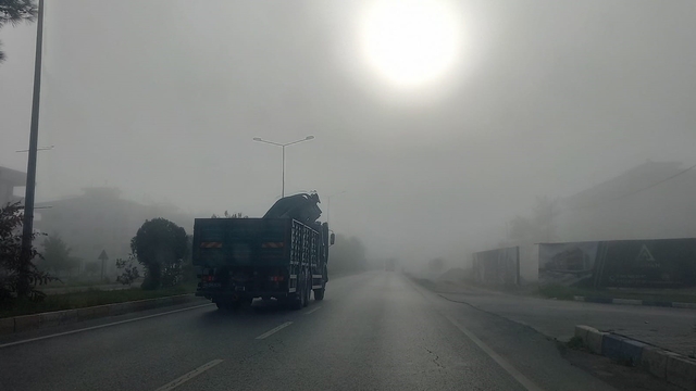 Aydın'da yoğun sis sürücülere zor anlar yaşattı