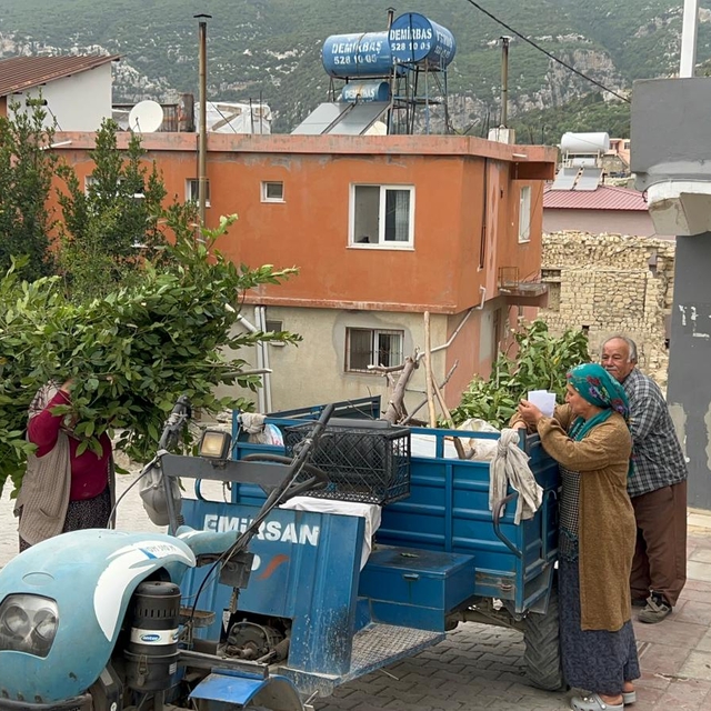 Hatay'da köylülerin geçim kaynağı defne mesaisi başladı
